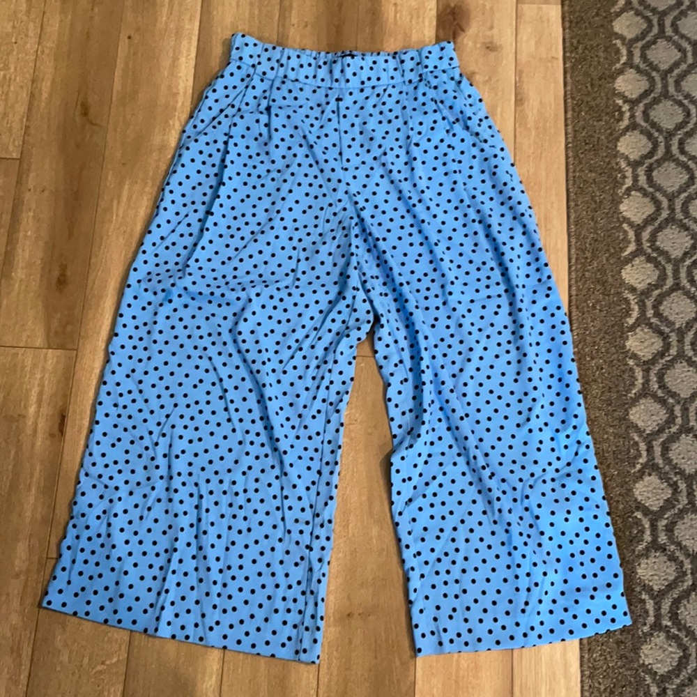 Zara wide leg pants